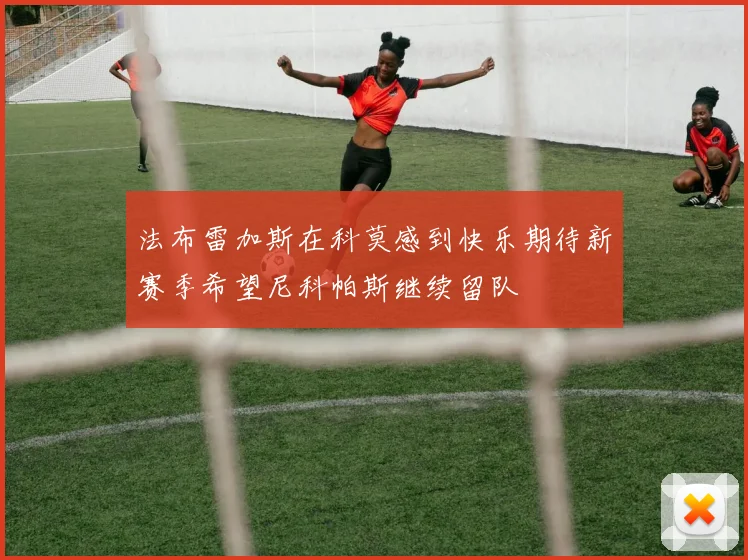 法布雷加斯在科莫感到快乐期待新赛季希望尼科帕斯继续留队